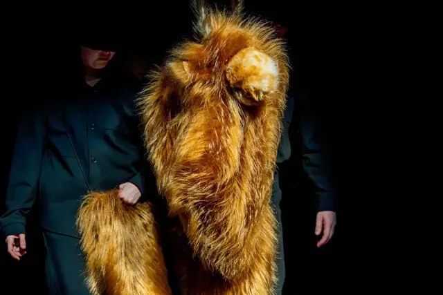 Lėlių spektaklis DĖDULĖ PETSONAS IR JO KATINAS FINDUSAS – 13