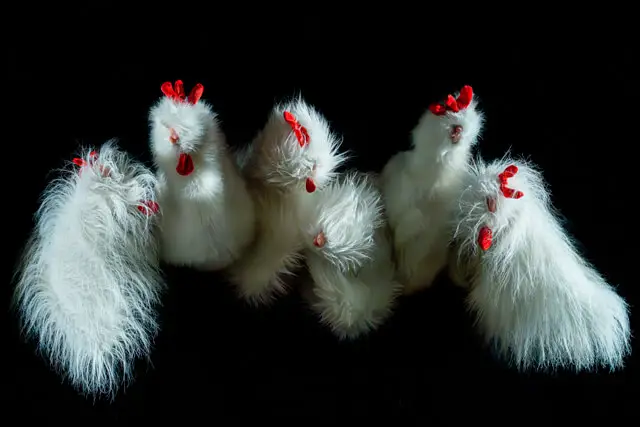 Lėlių spektaklis DĖDULĖ PETSONAS IR JO KATINAS FINDUSAS – 6