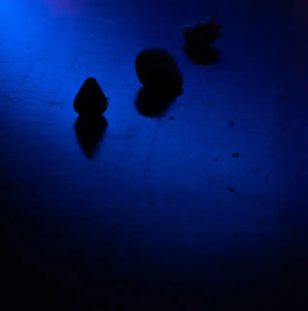 Spektaklis jaunimui ir suaugusiesiems SAPNUOSE PRIE BEDUGNĖS – 14